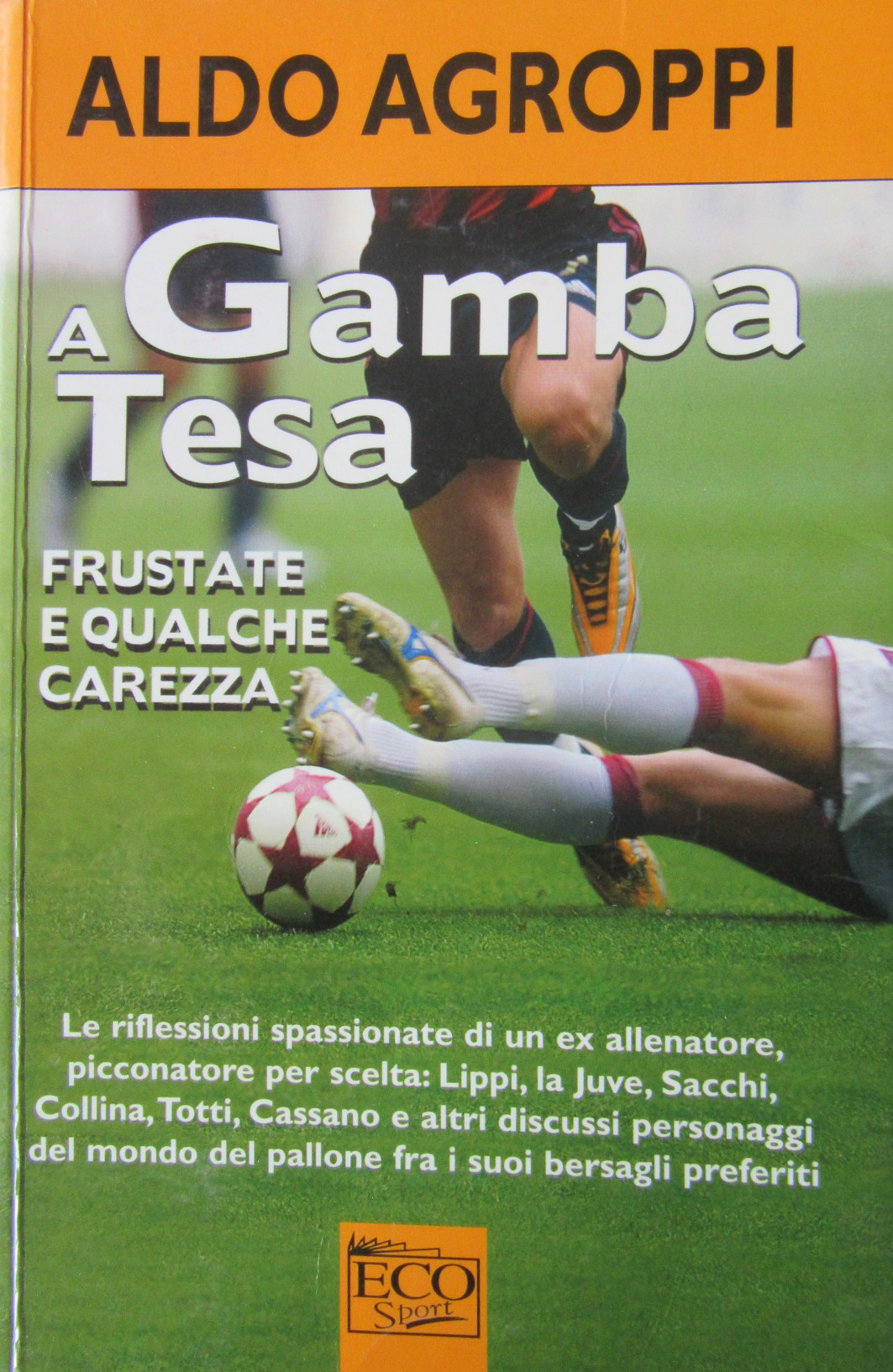 Come Si Dice Gamba In Inglese